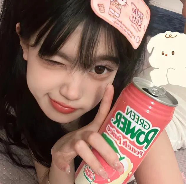 燕子号与亚马逊号